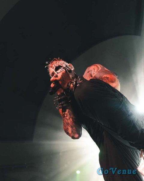 chadgray-14