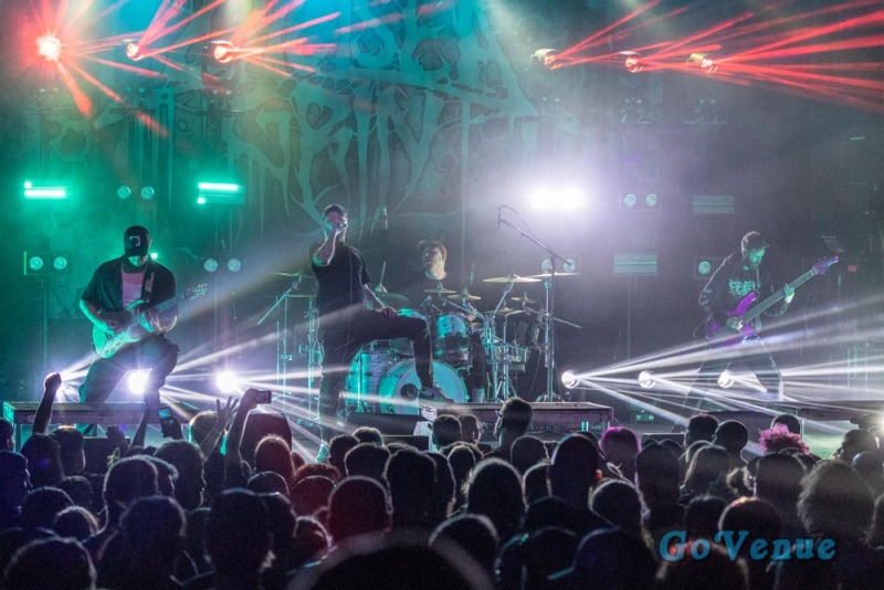 Chelsea Grin