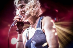 Dessa-11