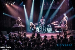 Dessa-12