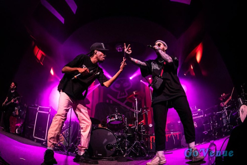 Dropout Kings