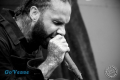 EJT-s-HiRes-5-19-19-299