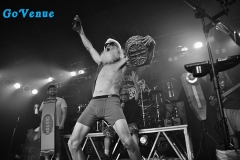 Green Jelly 1