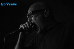 Green Jelly 10