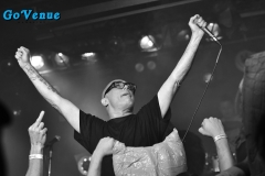 Green Jelly 12