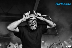 Green Jelly 2