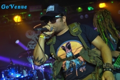 Green Jelly 5