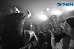 Green Jelly 9