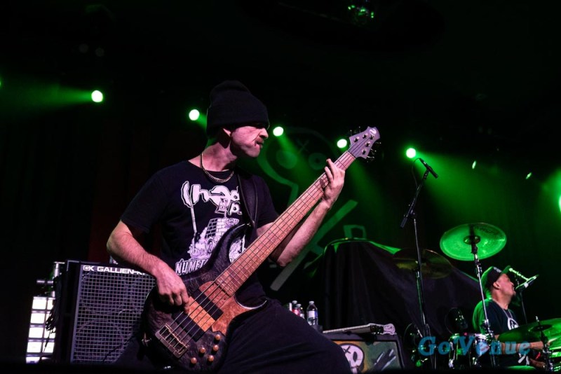 Hed PE