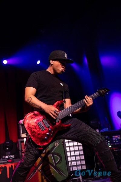 Hed PE
