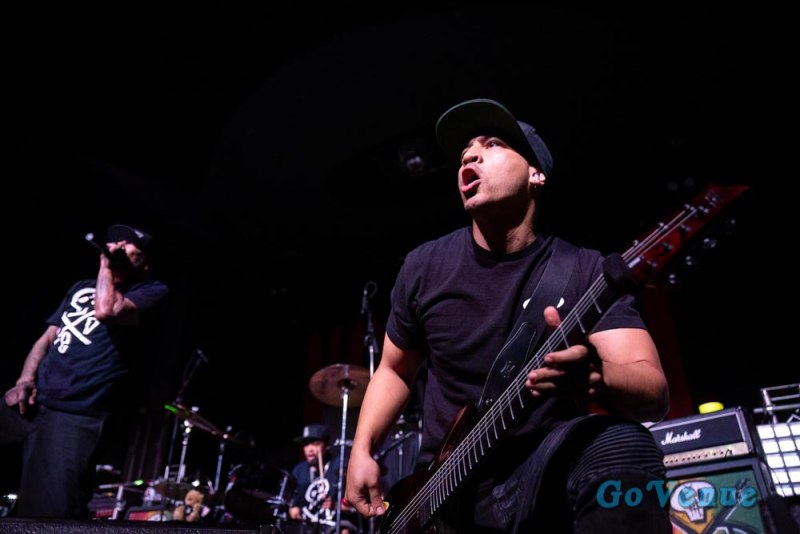 Hed PE