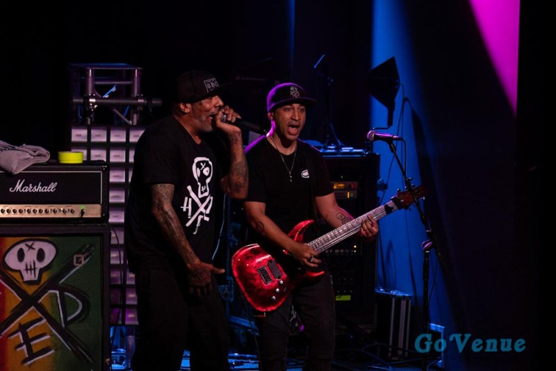 Hed PE