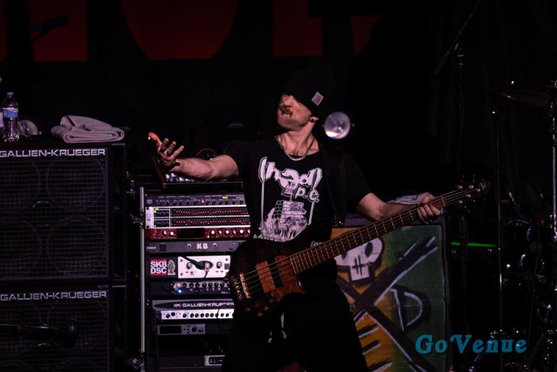 Hed PE