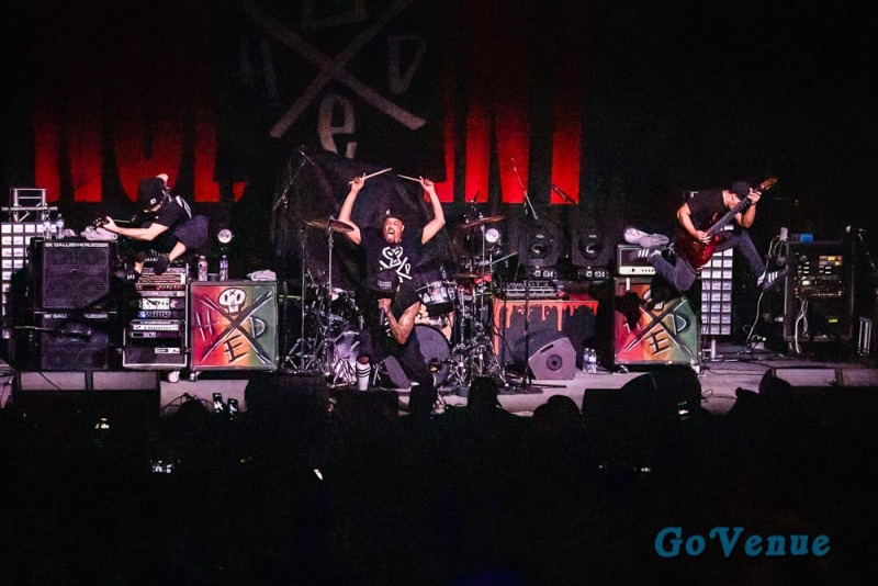 Hed PE