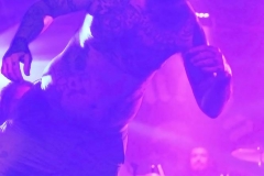 _BRA1238