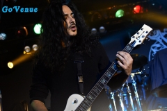 Palisades 5