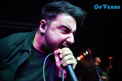 Palisades 7