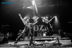 Fozzy-EdNewton-3