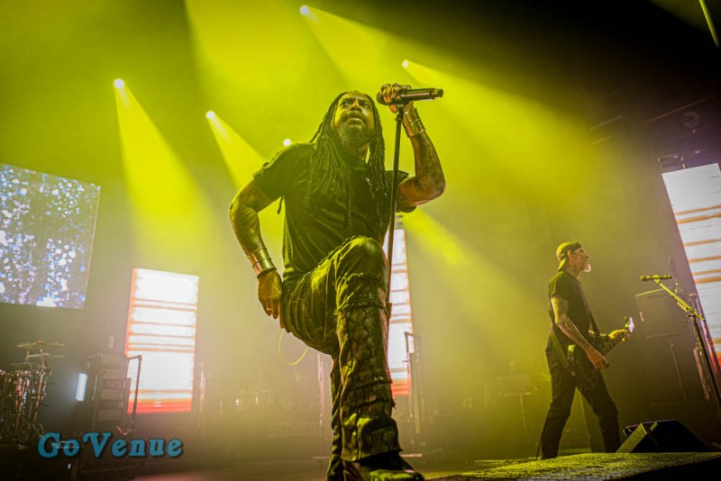 32A6317-CR3_DxO_DeepPRIMEXD