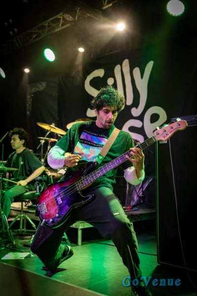 Silly-Goose-5